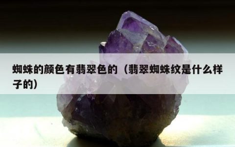 蜘蛛的颜色有翡翠色的，翡翠蜘蛛纹是什么样子的