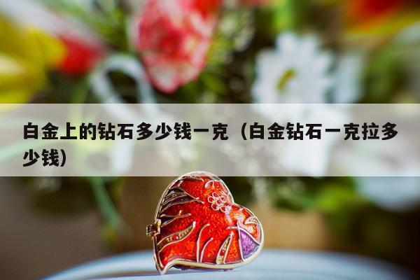白金上的钻石多少钱一克，白金钻石一克拉多少钱