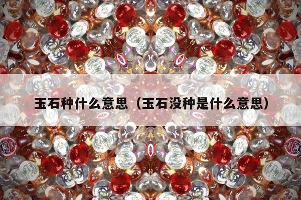 玉石种什么意思，玉石没种是什么意思
