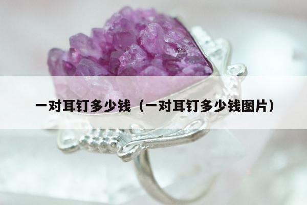 一对耳钉多少钱，一对耳钉多少钱图片