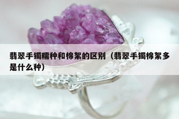 翡翠手镯糯种和棉絮的区别，翡翠手镯棉絮多是什么种