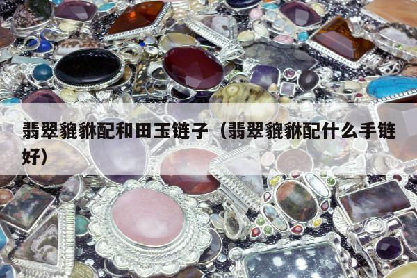 翡翠貔貅配和田玉链子，翡翠貔貅配什么手链好