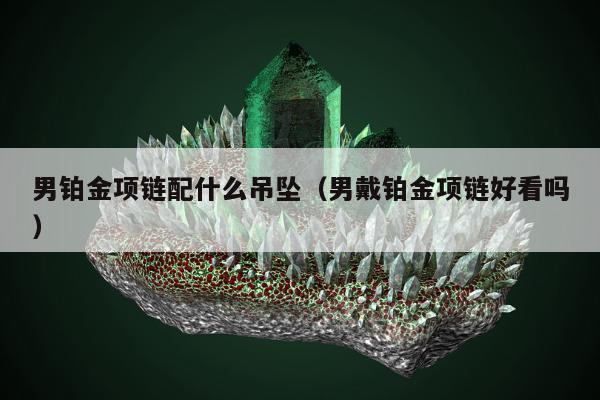 男铂金项链配什么吊坠，男戴铂金项链好看吗