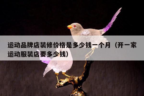 运动品牌店装修价格是多少钱一个月，开一家运动服装店要多少钱