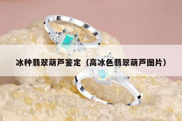 冰种翡翠葫芦鉴定，高冰色翡翠葫芦图片