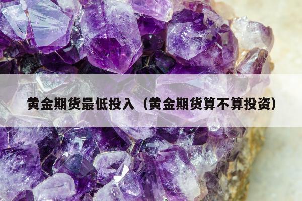 黄金期货最低投入，黄金期货算不算投资