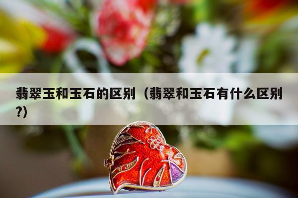 翡翠玉和玉石的区别，翡翠和玉石有什么区别?