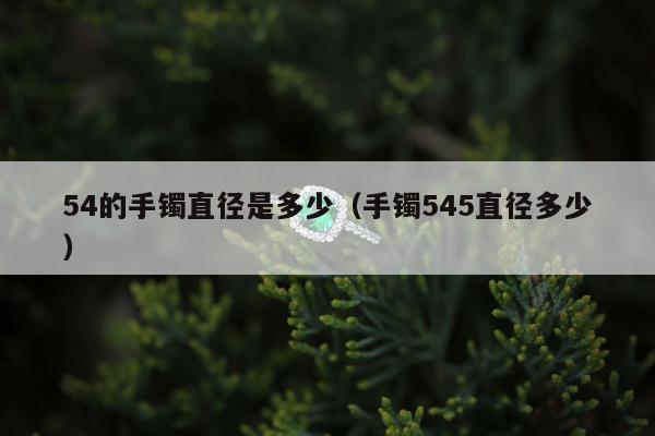 4的手镯直径是多少，手镯545直径多少"