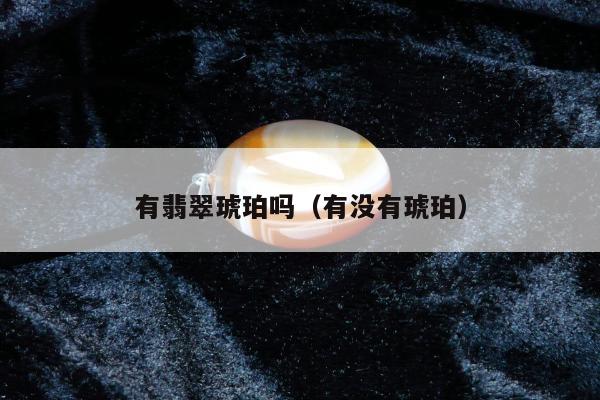有翡翠琥珀吗，有没有琥珀