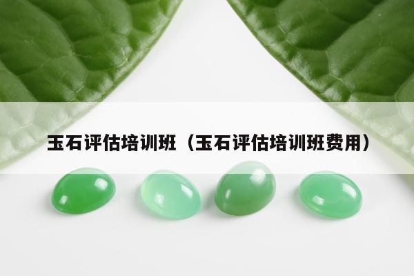 玉石评估培训班，玉石评估培训班费用