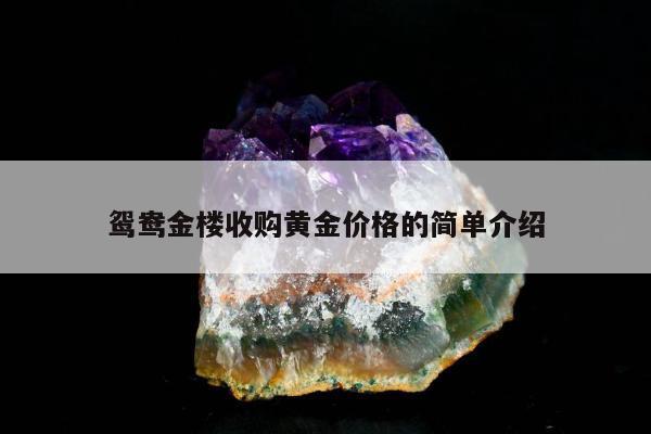 鸳鸯金楼收购黄金价格的简单介绍