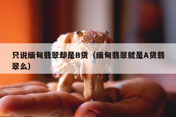 只说缅甸翡翠却是B货，缅甸翡翠就是A货翡翠么