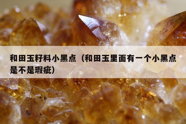 和田玉籽料小黑点，和田玉里面有一个小黑点是不是瑕疵