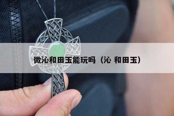 微沁和田玉能玩吗，沁 和田玉