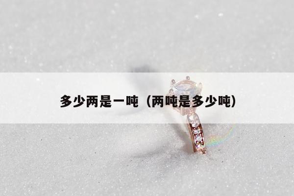 多少两是一吨，两吨是多少吨