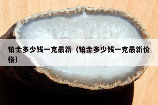 铂金多少钱一克最新，铂金多少钱一克最新价格