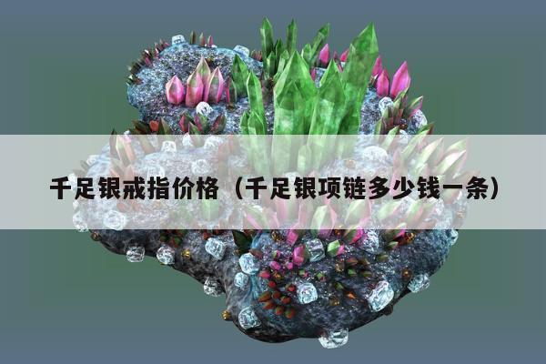 千足银戒指价格，千足银项链多少钱一条