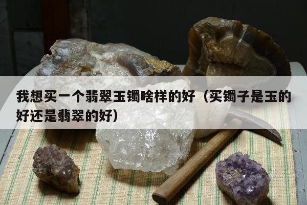 我想买一个翡翠玉镯啥样的好，买镯子是玉的好还是翡翠的好