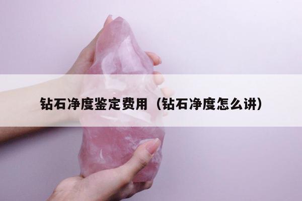 钻石净度鉴定费用，钻石净度怎么讲