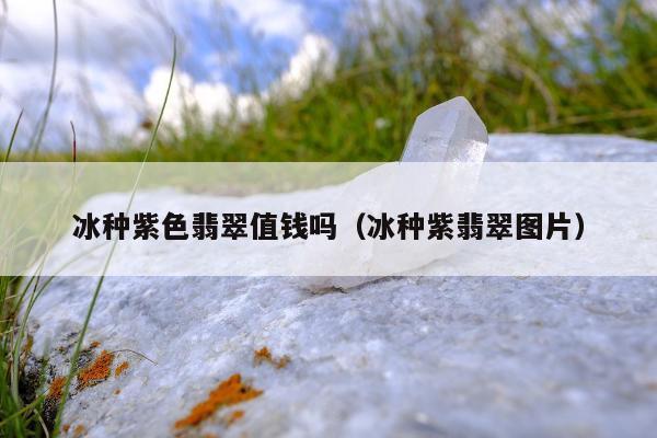 冰种紫色翡翠值钱吗，冰种紫翡翠图片