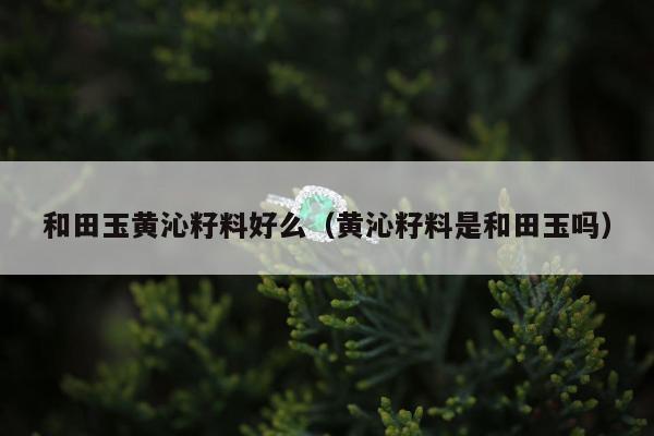 和田玉黄沁籽料好么，黄沁籽料是和田玉吗