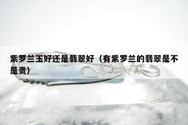 紫罗兰玉好还是翡翠好，有紫罗兰的翡翠是不是贵