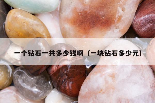一个钻石一共多少钱啊，一块钻石多少元