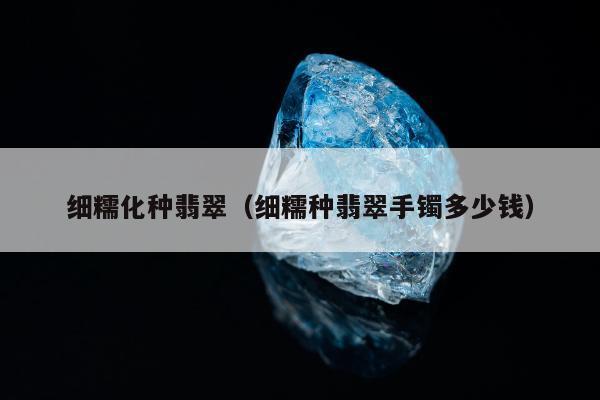 细糯化种翡翠，细糯种翡翠手镯多少钱