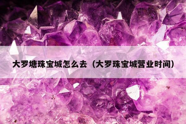 大罗塘珠宝城怎么去，大罗珠宝城营业时间