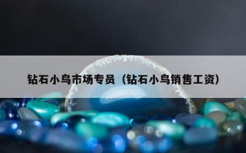 钻石小鸟市场专员，钻石小鸟销售工资