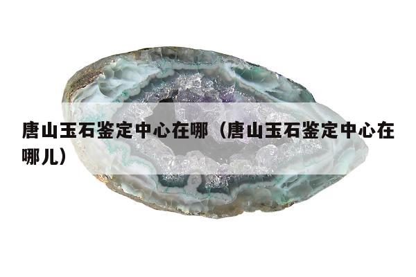 唐山玉石鉴定中心在哪，唐山玉石鉴定中心在哪儿