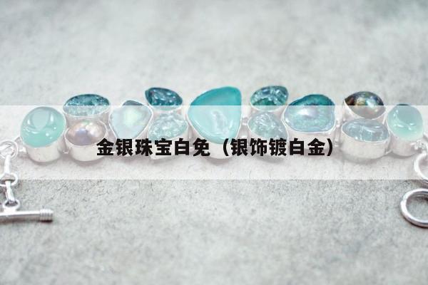 金银珠宝白免，银饰镀白金