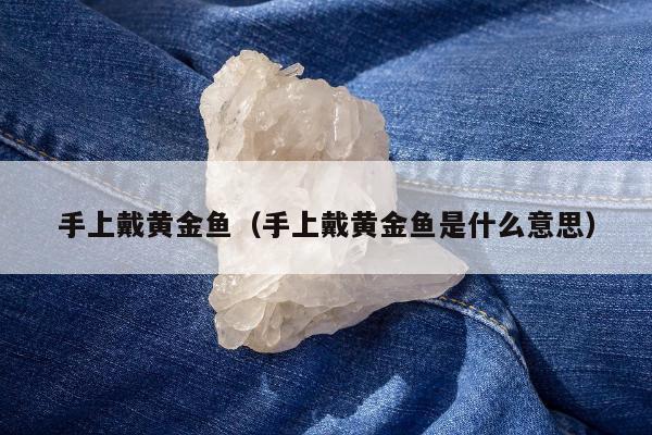 手上戴黄金鱼，手上戴黄金鱼是什么意思