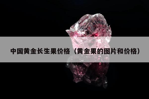 中国黄金长生果价格，黄金果的图片和价格