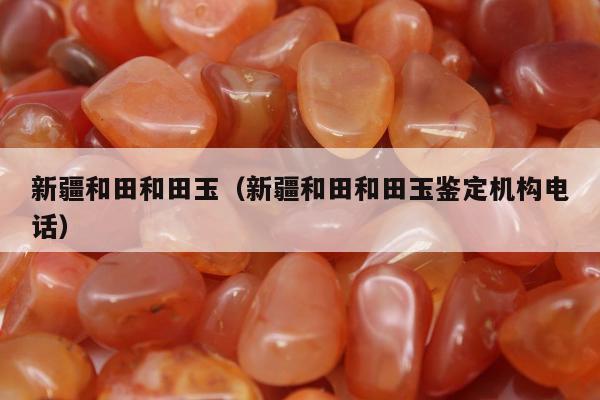 新疆和田和田玉，新疆和田和田玉鉴定机构电话