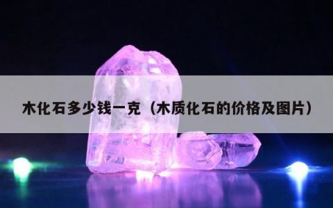 木化石多少钱一克，木质化石的价格及图片