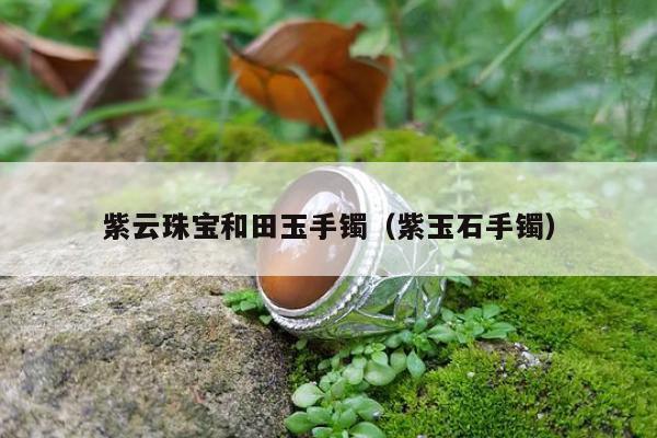 紫云珠宝和田玉手镯，紫玉石手镯