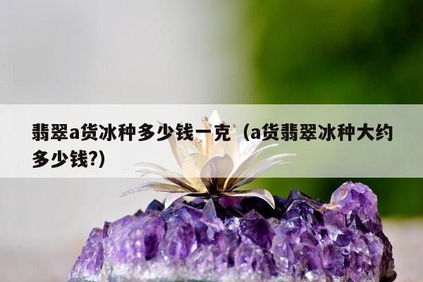 翡翠a货冰种多少钱一克，a货翡翠冰种大约多少钱?