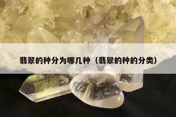 翡翠的种分为哪几种，翡翠的种的分类
