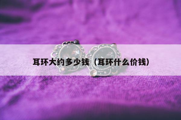 耳环大约多少钱，耳环什么价钱