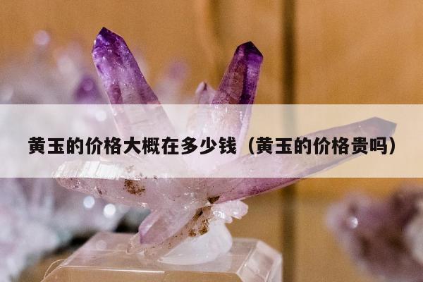 黄玉的价格大概在多少钱，黄玉的价格贵吗