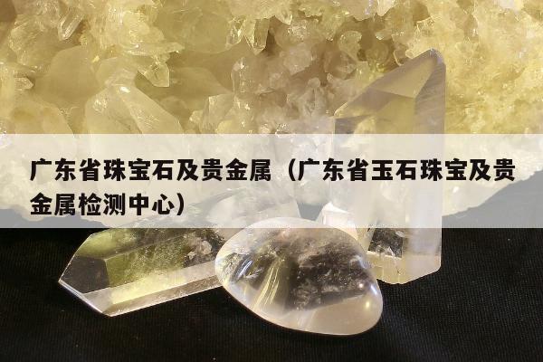 广东省珠宝石及贵金属，广东省玉石珠宝及贵金属检测中心