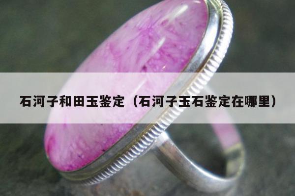 石河子和田玉鉴定，石河子玉石鉴定在哪里