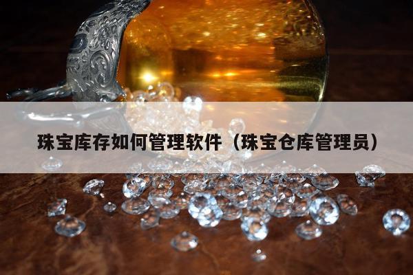 珠宝库存如何管理软件，珠宝仓库管理员
