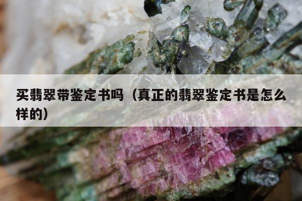 买翡翠带鉴定书吗，真正的翡翠鉴定书是怎么样的