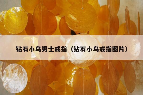 钻石小鸟男士戒指，钻石小鸟戒指图片