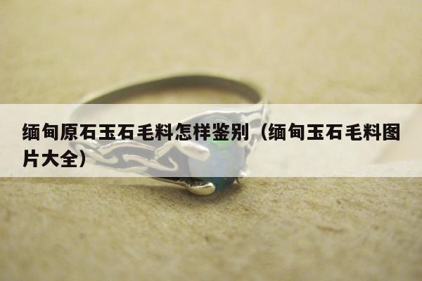 缅甸原石玉石毛料怎样鉴别，缅甸玉石毛料图片大全