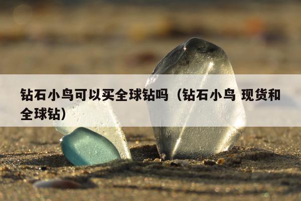 钻石小鸟可以买全球钻吗，钻石小鸟 现货和全球钻