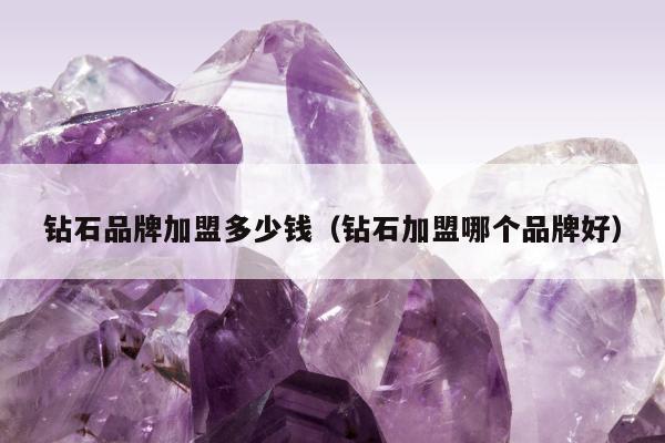 钻石品牌加盟多少钱，钻石加盟哪个品牌好