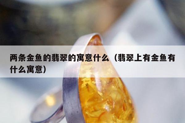 两条金鱼的翡翠的寓意什么，翡翠上有金鱼有什么寓意